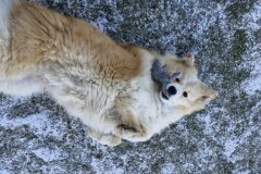 20250111_100718-scaled