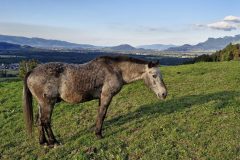 20251001_173240-scaled