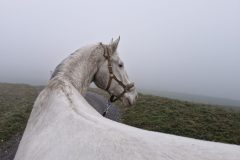 20251203_163359-scaled