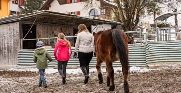 Ponyspielgruppe „Sternenponys“ – sicher und geborgen entfalten
