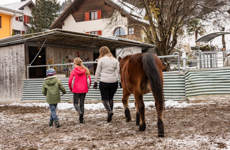 Ponyspielgruppe „Sternenponys“ – sicher und geborgen entfalten