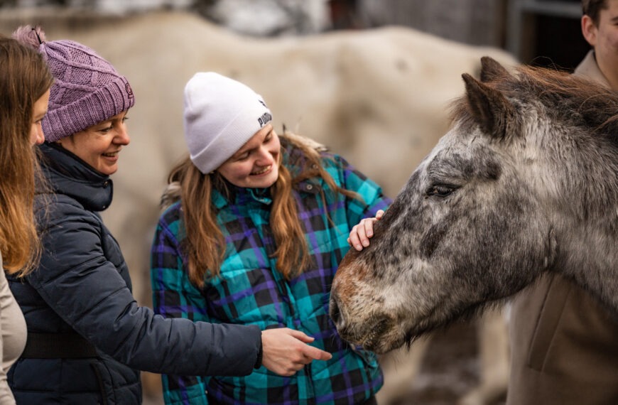 Pferdegestütztes Coaching