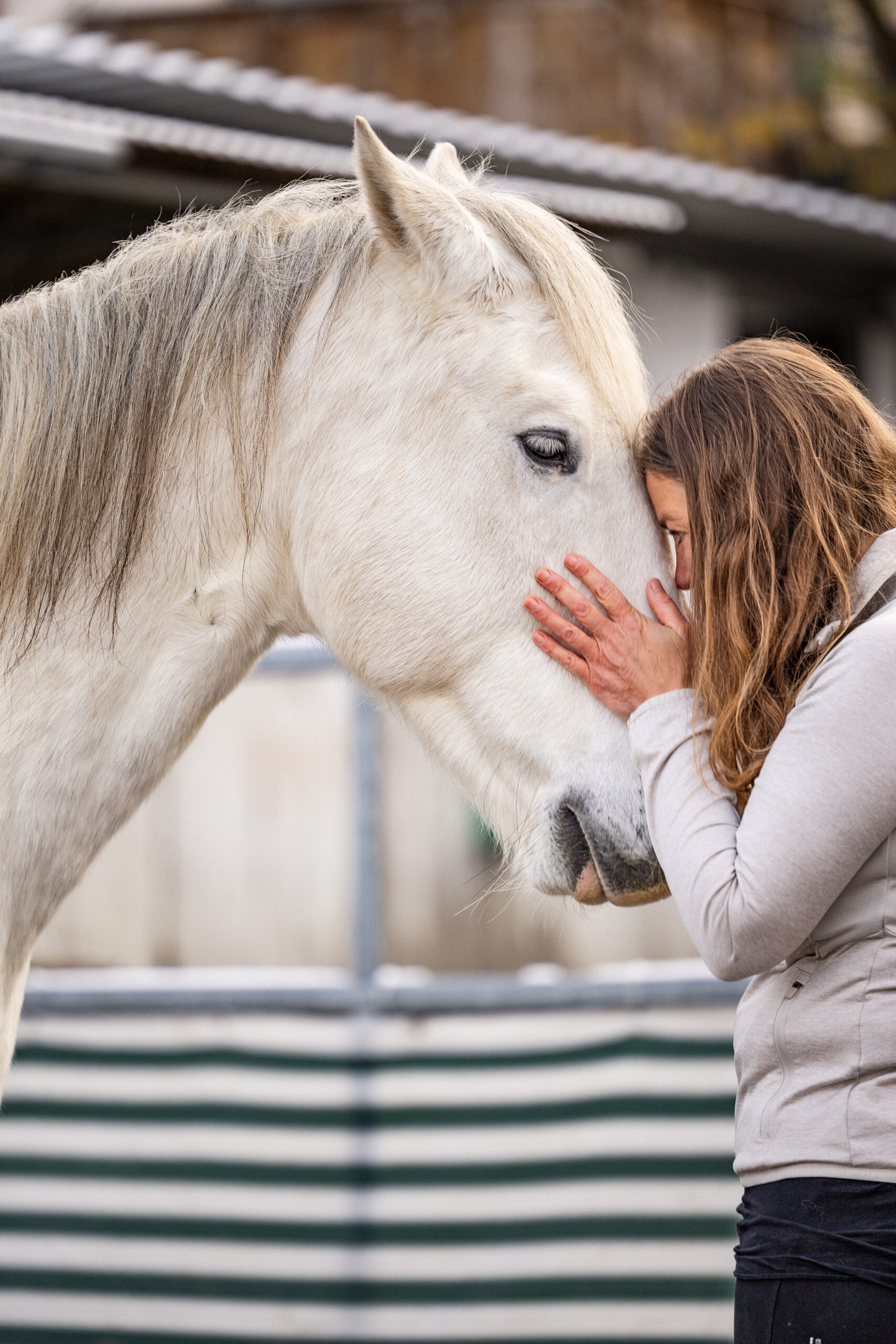 Coaching & Adventure