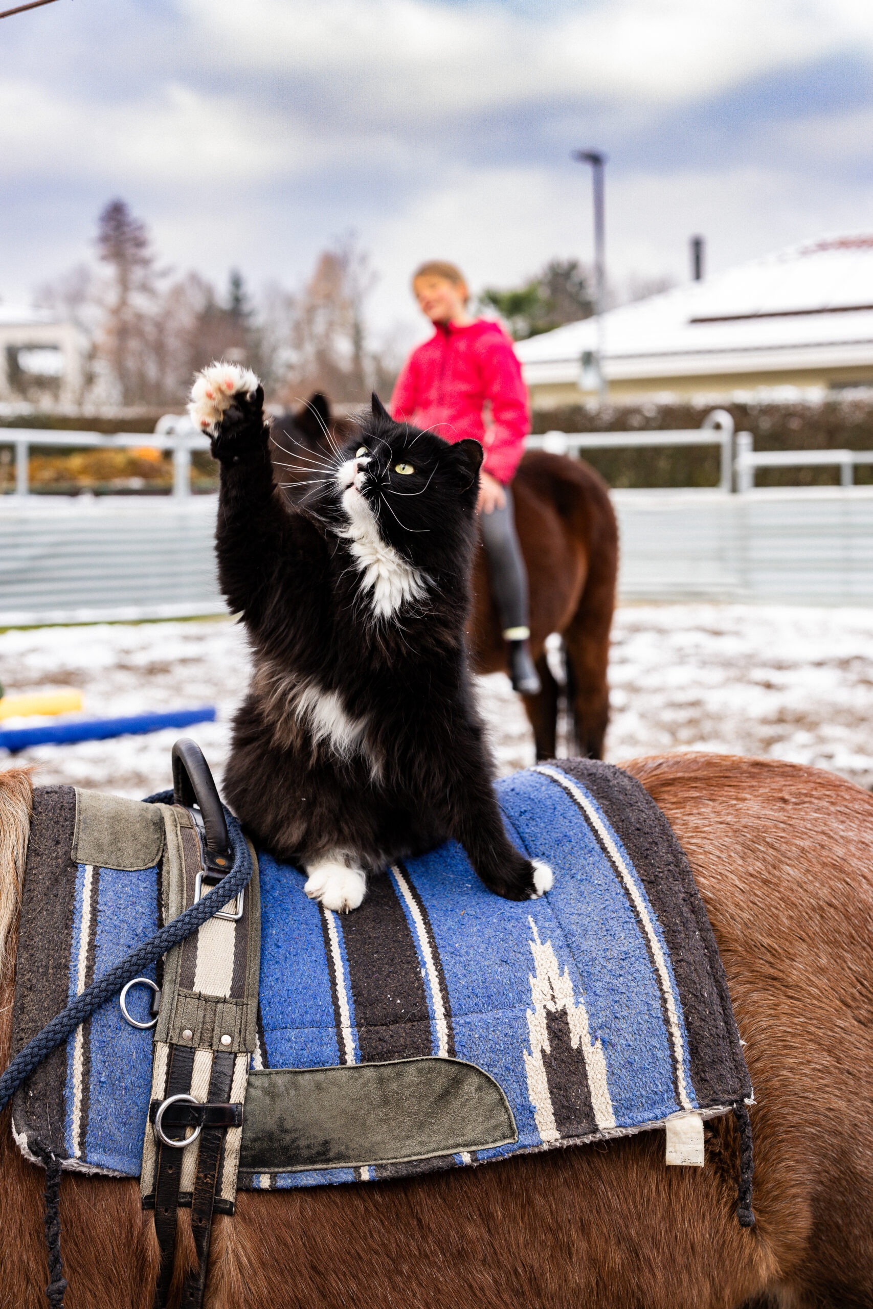 Coaching & Adventure