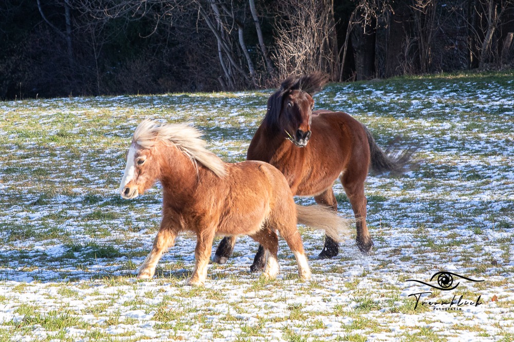 Coaching & Adventure